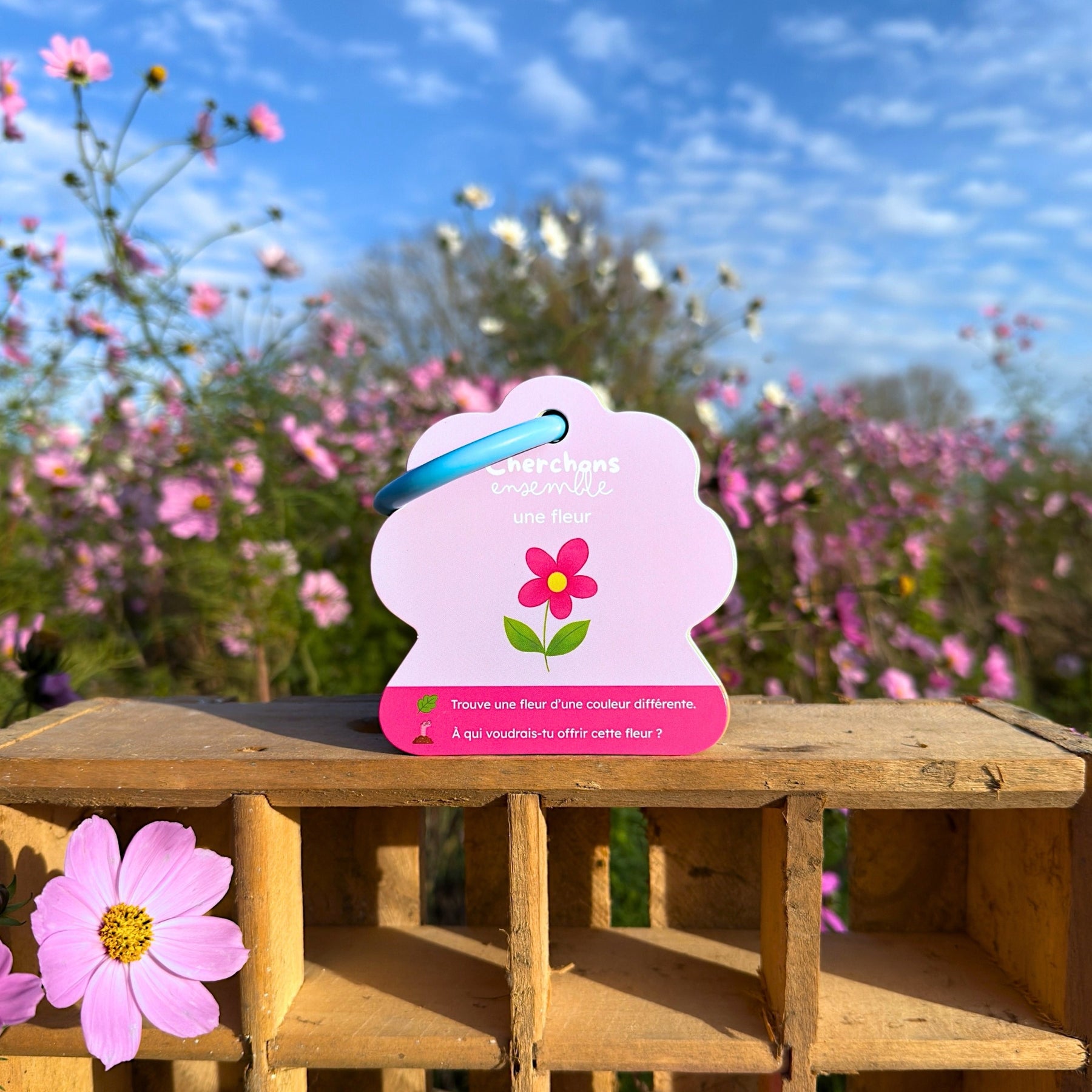 Carte cherchons ensemble une fleur