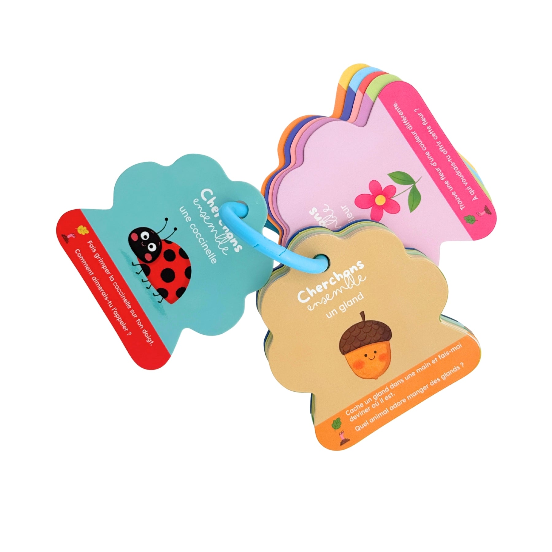 Cherchons ensemble au parc - Exemple de cartes reliees par un anneau