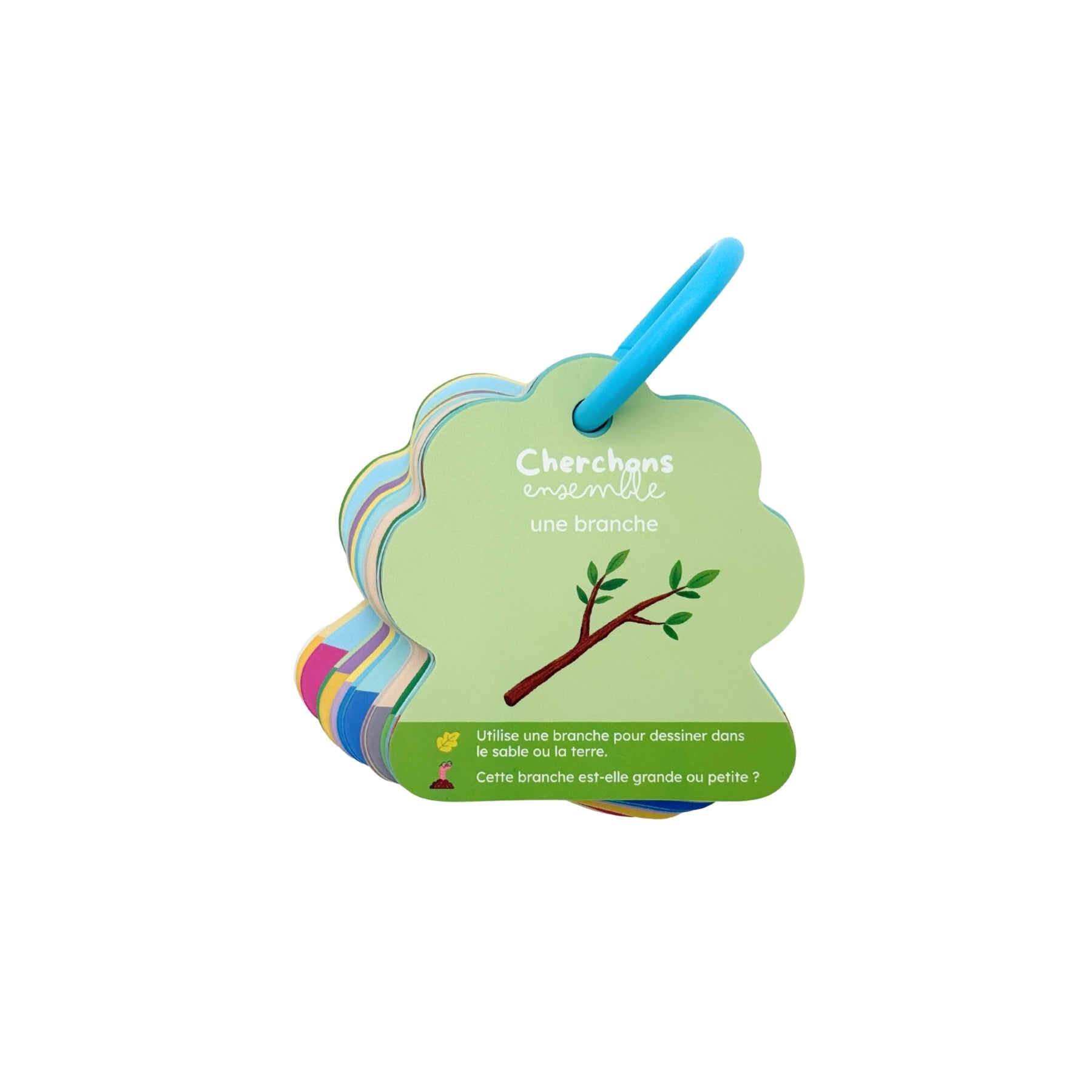 Cherchons ensemble au parc - Visuel de la carte branche